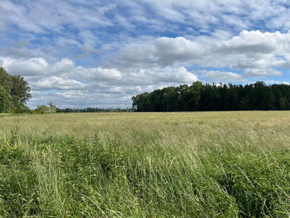 22-05-27 16-50-40 0916